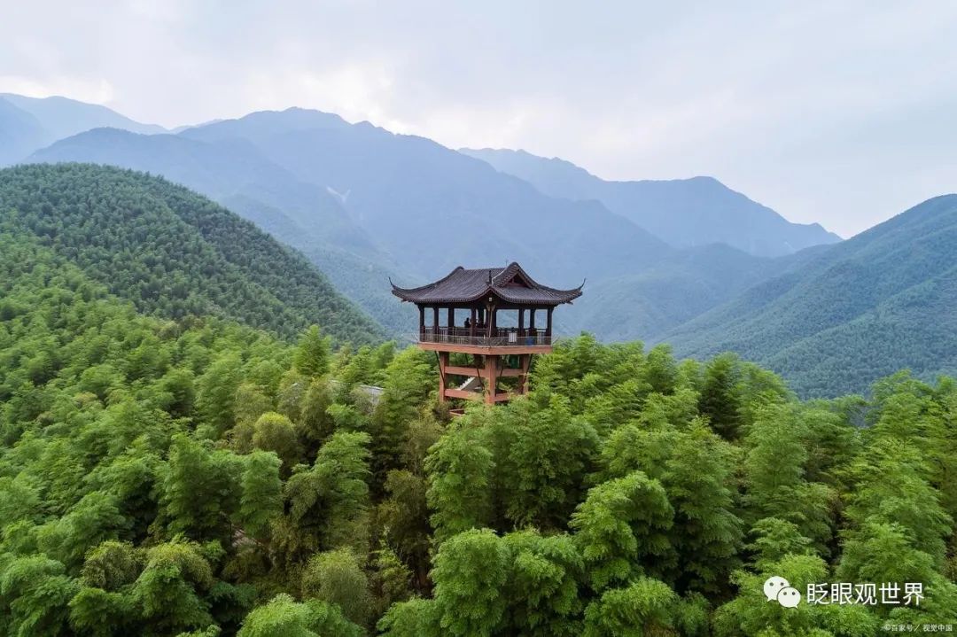 德清莫干山旅游攻略-德清莫干山门票价格