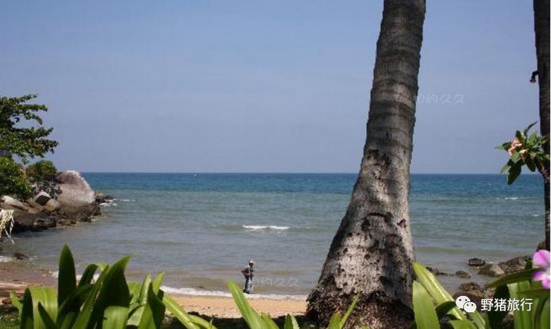 泰国珊瑚岛好玩吗_珊瑚海泰国_泰国珊瑚岛旅游攻略