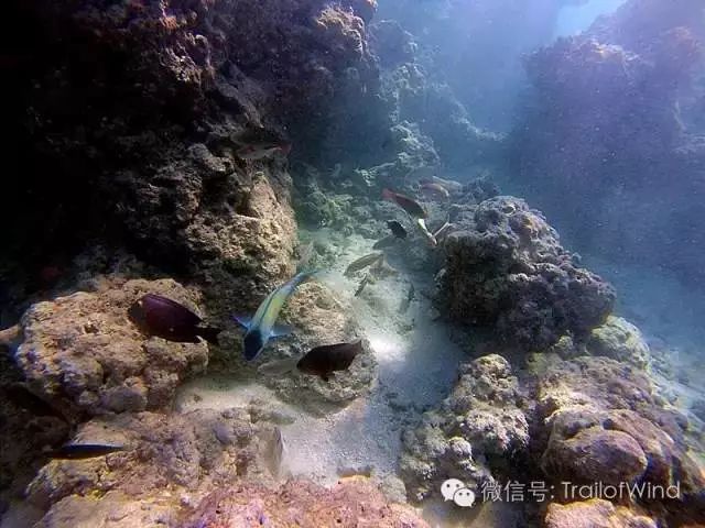 夏威夷大岛旅游攻略_夏威夷大岛一日游_夏威夷大岛景点