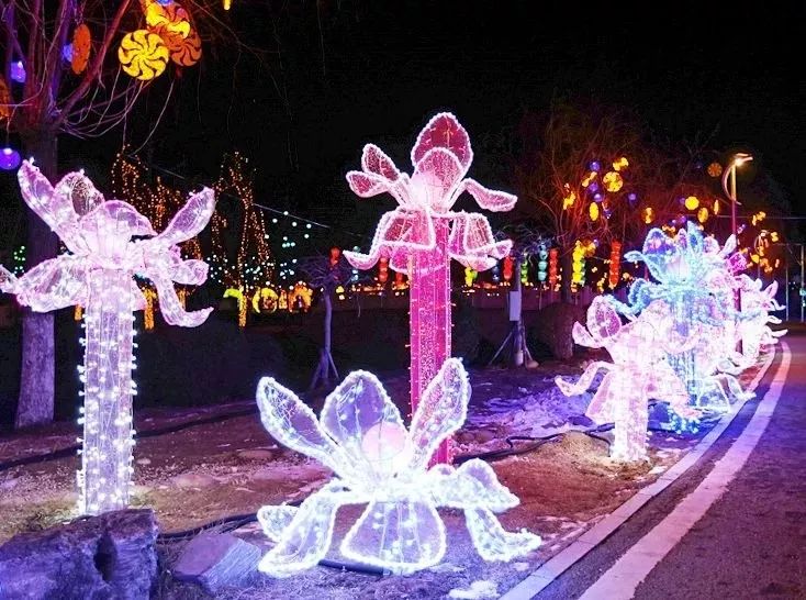 衡水湖旅游景点_衡水湖旅游攻略_衡水湖游玩攻略