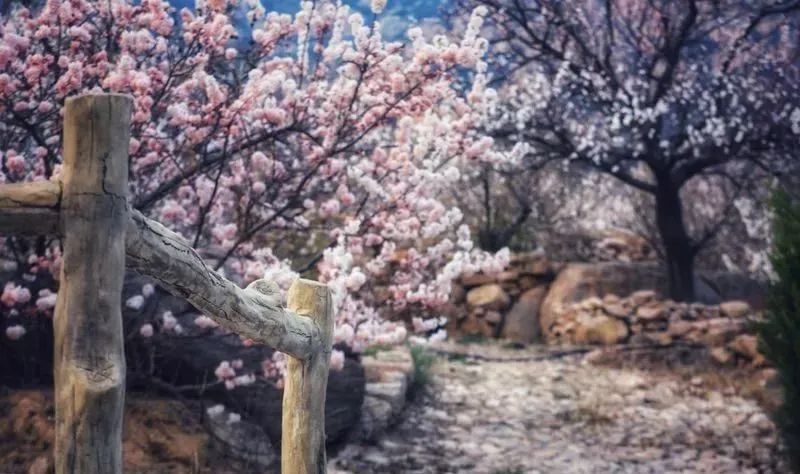 九仙山旅游攻略_仙山景区在哪里_攻略仙山旅游的地方