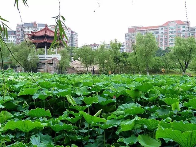 九仙山旅游攻略_仙山圣地是哪里_仙山景区在哪里