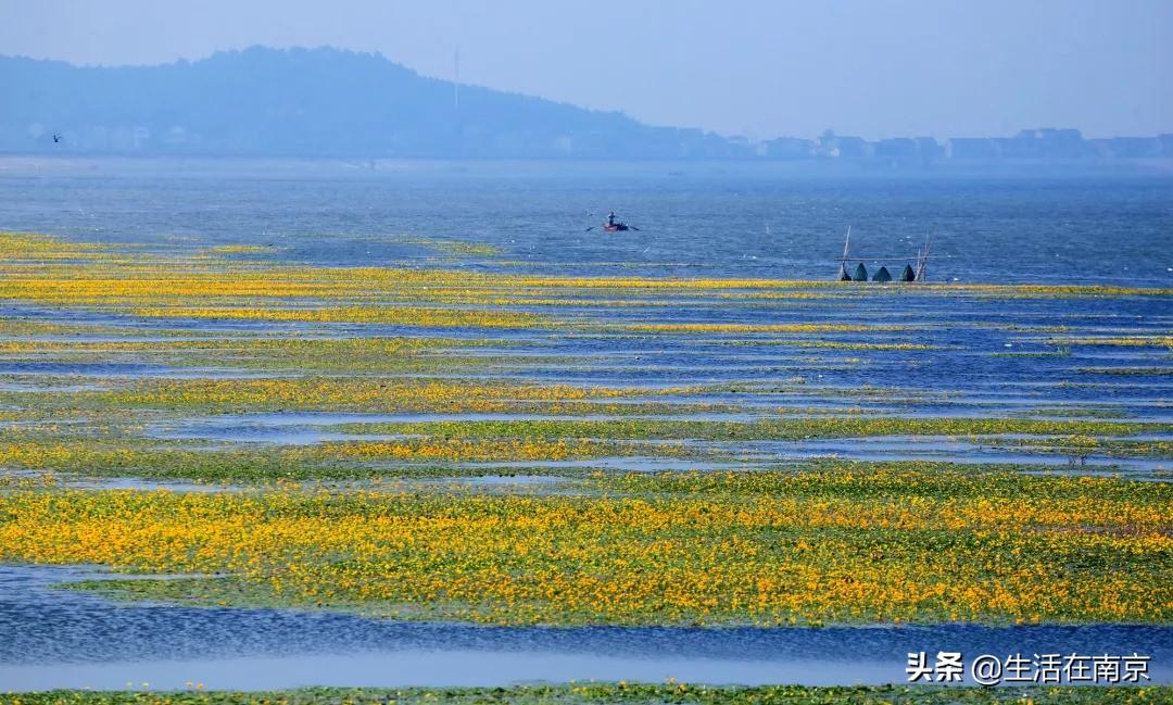 江宁黄龙岘旅游攻略-江宁黄龙岘旅游攻略(图18) 江宁黄龙岘旅游攻略_江宁黄龙岘旅游攻略_江宁黄龙岘旅游攻略