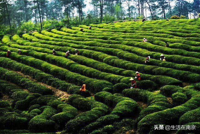 江宁黄龙岘旅游攻略-江宁黄龙岘旅游攻略(图31) 江宁黄龙岘旅游攻略_江宁黄龙岘旅游攻略_江宁黄龙岘旅游攻略