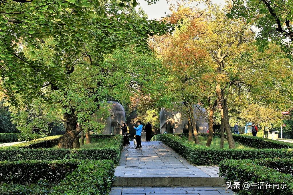 江宁黄龙岘旅游攻略-江宁黄龙岘旅游攻略(图45) 江宁黄龙岘旅游攻略_江宁黄龙岘旅游攻略_江宁黄龙岘旅游攻略