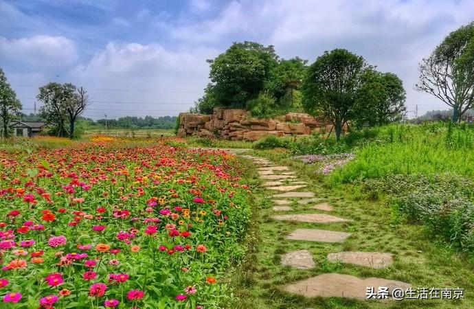 江宁黄龙岘旅游攻略_江宁黄龙岘旅游攻略_江宁黄龙岘旅游攻略