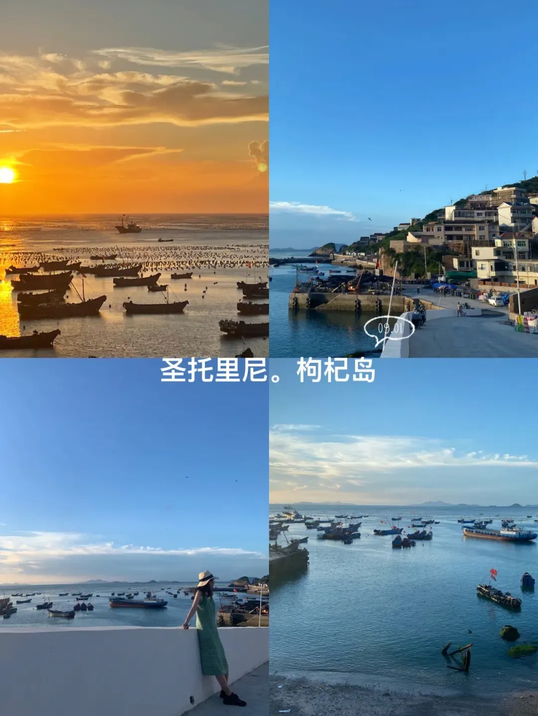 宁波到枸杞岛旅游攻略_宁波枸杞岛图片大全_宁波怎么枸杞岛