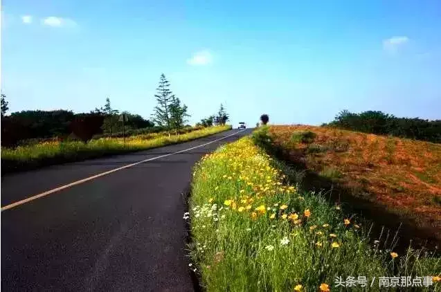 江宁黄龙岘旅游攻略_江宁黄龙岘旅游攻略_江宁黄龙岘旅游攻略