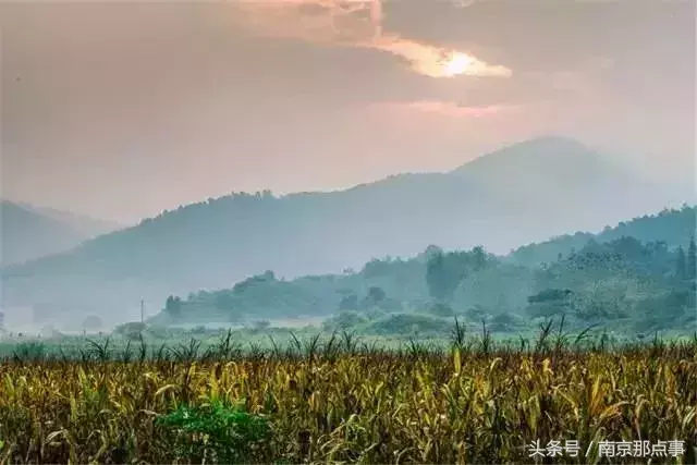 江宁黄龙岘旅游攻略_江宁黄龙岘旅游攻略_江宁黄龙岘旅游攻略
