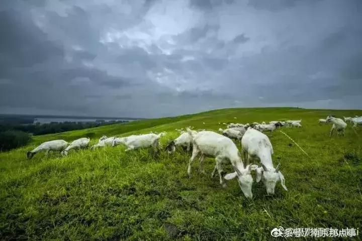 江宁黄龙岘旅游攻略_江宁黄龙岘旅游攻略_江宁黄龙岘旅游攻略