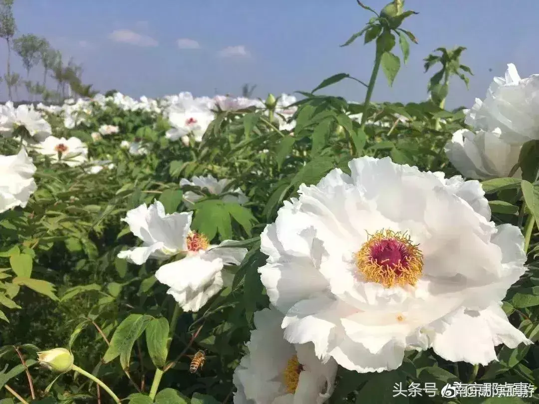 江宁黄龙岘旅游攻略_江宁黄龙岘旅游攻略_江宁黄龙岘旅游攻略