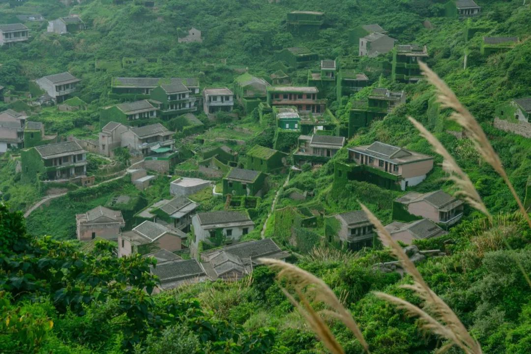 宁波枸杞岛自驾游攻略_宁波到枸杞岛旅游攻略_宁波怎么枸杞岛