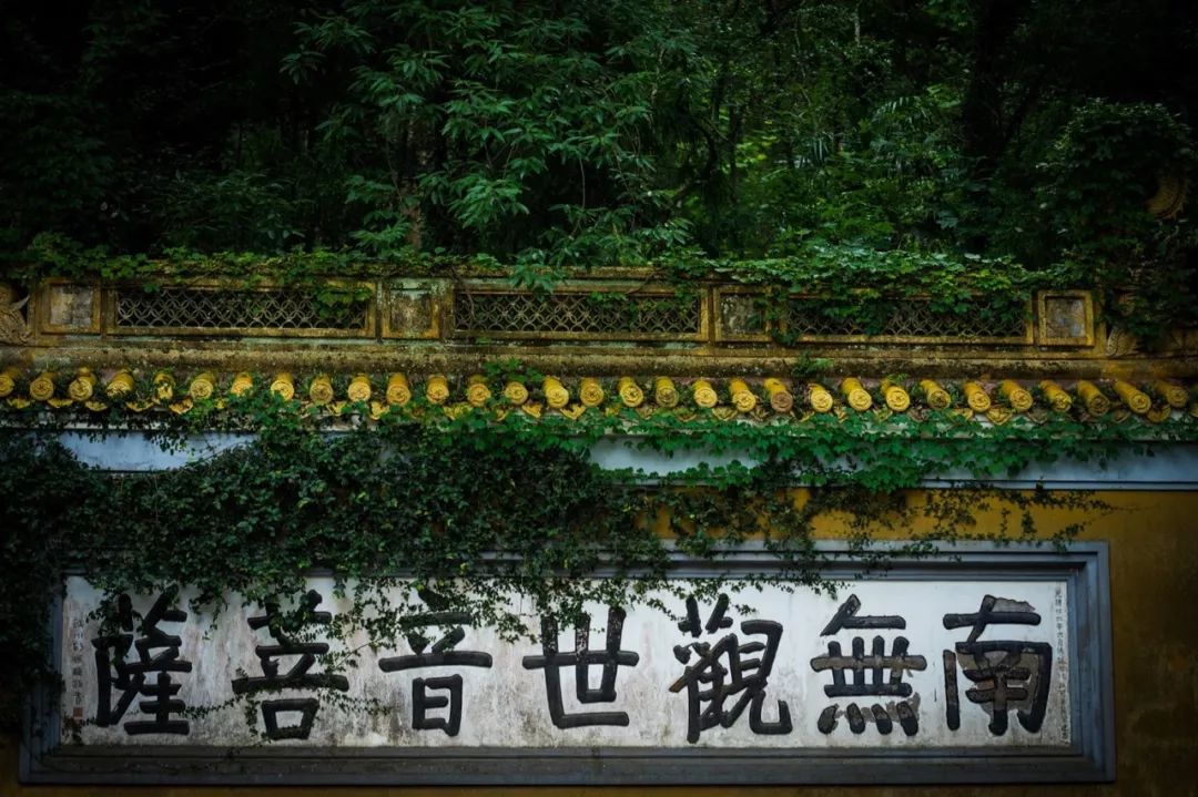 宁波枸杞岛自驾游攻略_宁波到枸杞岛旅游攻略_宁波怎么枸杞岛