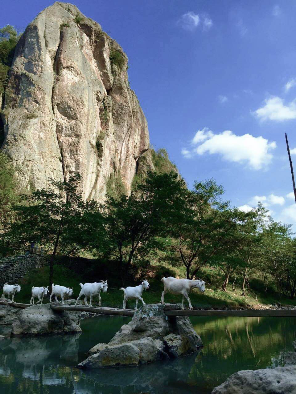 绍兴沈园门票价格_绍兴沈园值得去吗_绍兴沈园旅游攻略