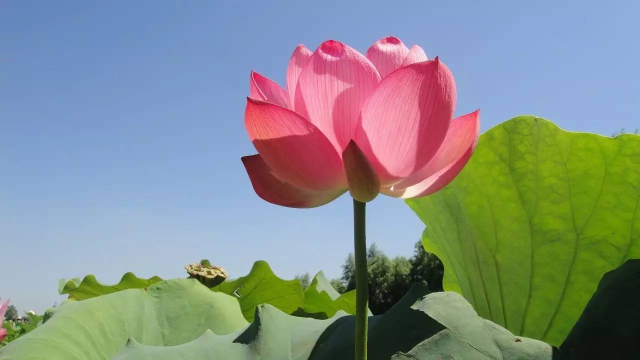 乐亭旅游攻略自驾游_自驾攻略旅游游乐亭路线_自驾攻略旅游游乐亭路线图