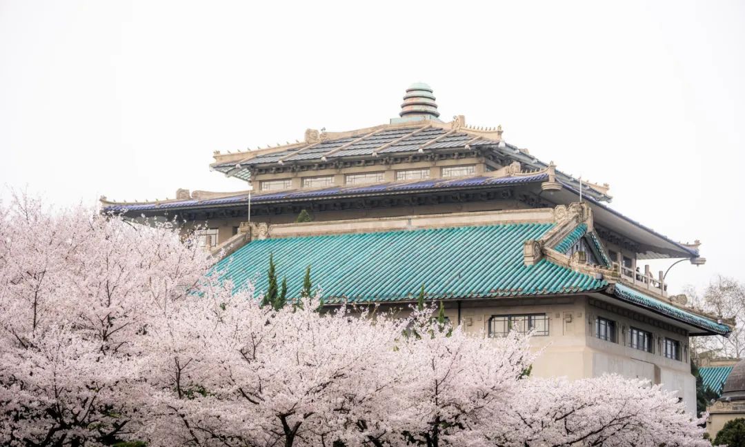 青海湖旅游线路精选_2024青海湖旅游攻略_青海湖旅游攻略路线4天