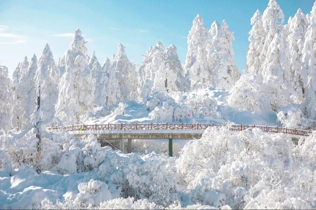瓦屋山森林公园视频_瓦屋山国家森林公园旅游攻略_瓦屋山国家公园介绍