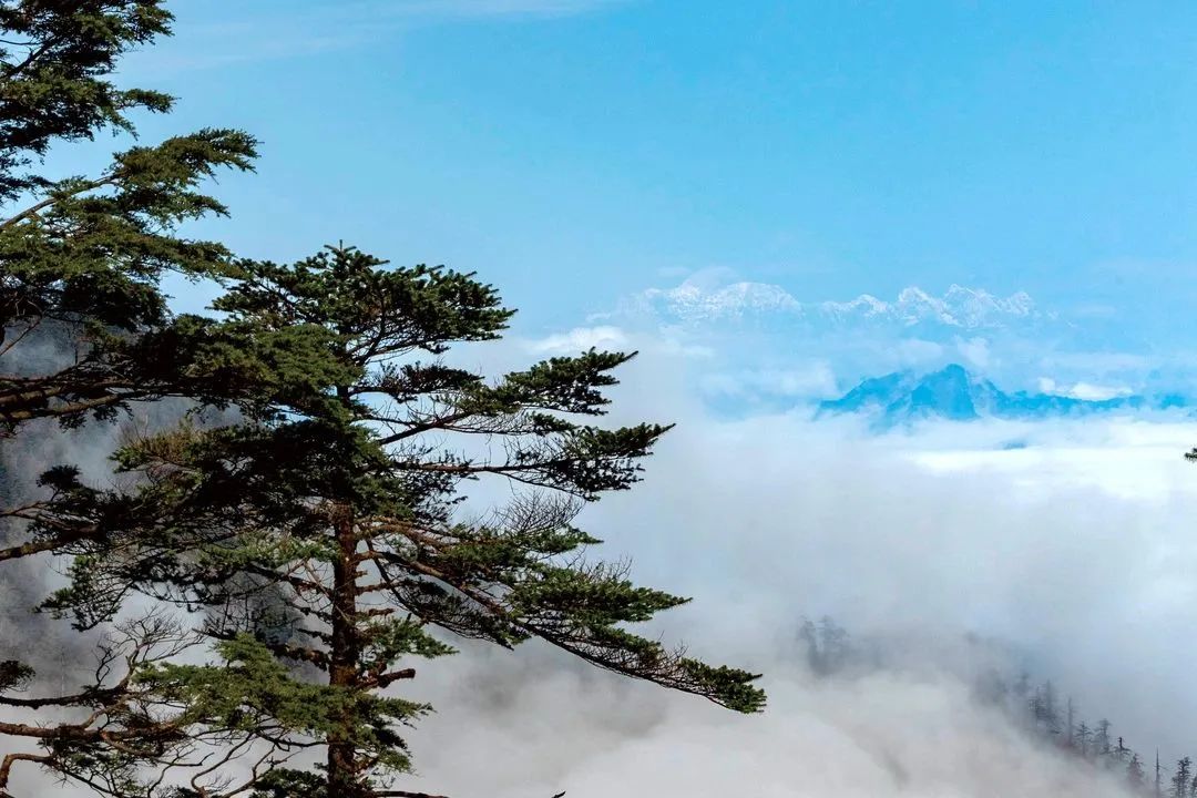 瓦屋山森林公园视频_瓦屋山国家公园介绍_瓦屋山国家森林公园旅游攻略