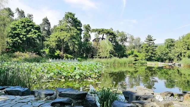 北京香山旅游攻略_北京香山旅游攻略一日游_北京香山攻略