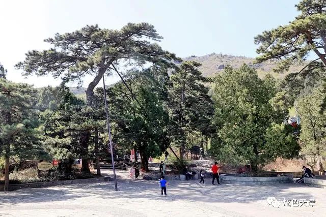 北京香山旅游攻略_北京香山攻略_北京香山旅游攻略一日游