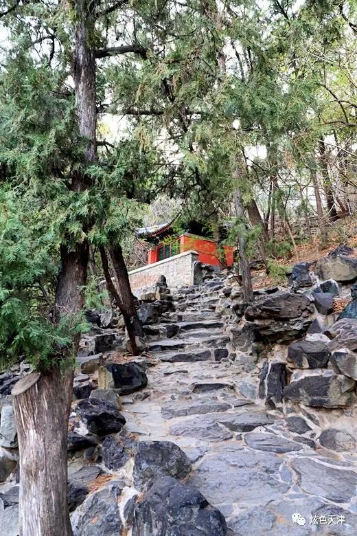 北京香山旅游攻略_北京香山攻略_北京香山旅游攻略一日游