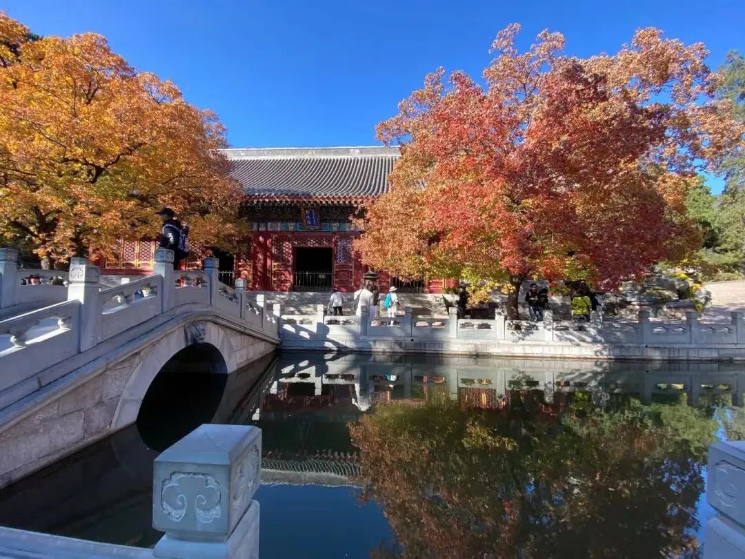 北京香山攻略_北京香山旅游景点大全排名_北京香山旅游攻略