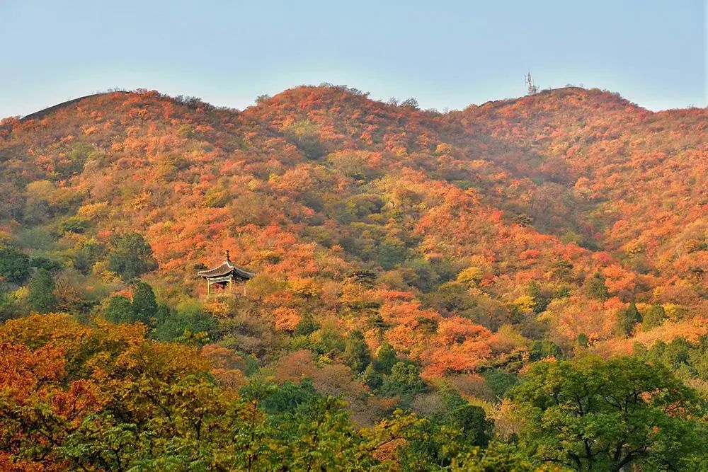北京香山旅游攻略_北京香山攻略_北京香山旅游景点大全排名