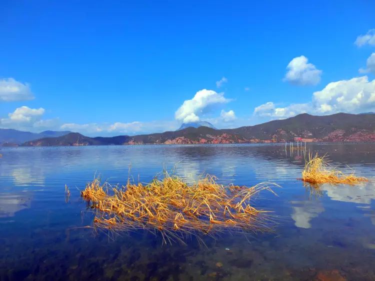 泸沽湖旅游攻略完全版_自由行泸沽湖的攻略_攻略旅游泸沽湖完全版