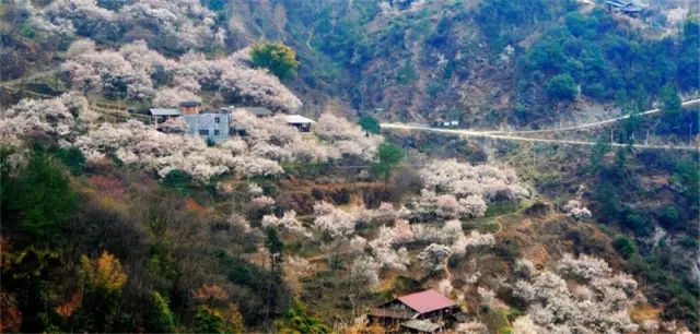 绵阳攻略_绵阳药王谷几月适合去_绵阳药王谷旅游攻略