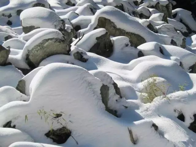 绵阳攻略_绵阳药王谷旅游攻略_绵阳药王谷几月适合去