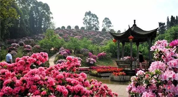 绵阳攻略_绵阳药王谷好玩吗_绵阳药王谷旅游攻略