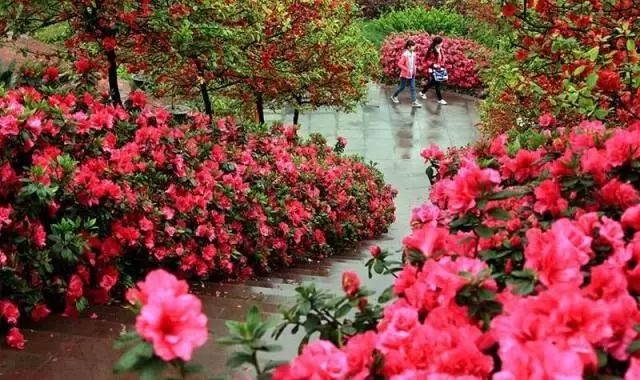 绵阳药王谷好玩吗_绵阳药王谷旅游攻略_绵阳攻略