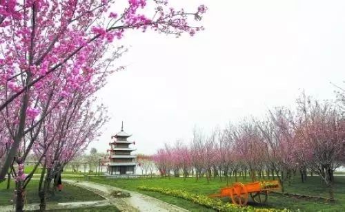 绵阳药王谷旅游攻略_绵阳药王谷好玩吗_绵阳攻略