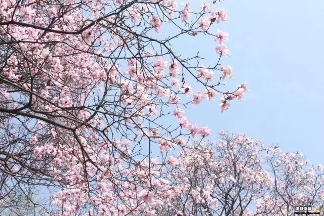 绵阳药王谷旅游攻略_绵阳药王谷好玩吗_绵阳攻略