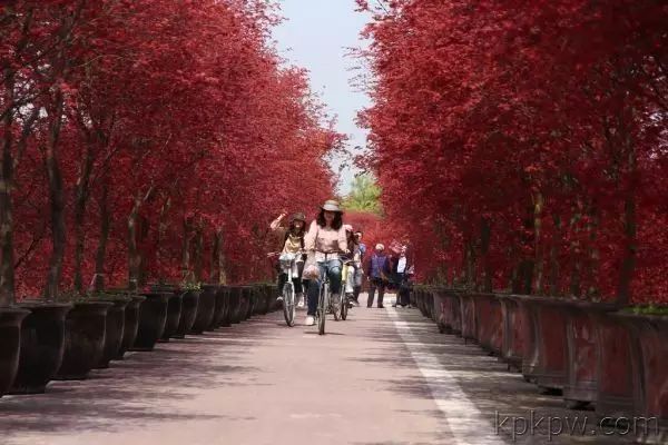 绵阳攻略_绵阳药王谷好玩吗_绵阳药王谷旅游攻略