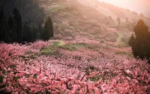绵阳药王谷旅游攻略_绵阳药王谷好玩吗_绵阳攻略
