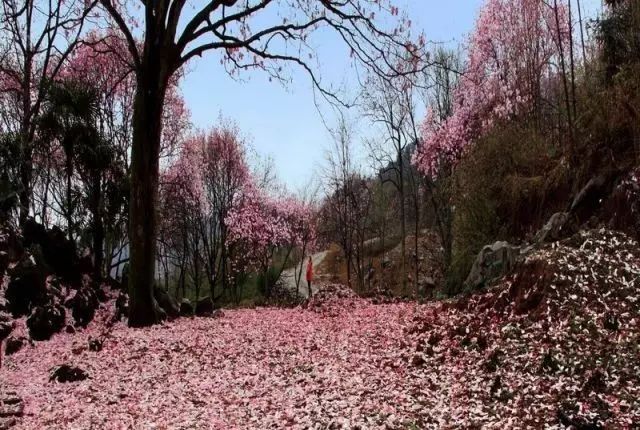 绵阳药王谷旅游攻略_绵阳药王谷好玩吗_绵阳攻略