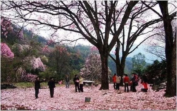 绵阳攻略_绵阳药王谷好玩吗_绵阳药王谷旅游攻略
