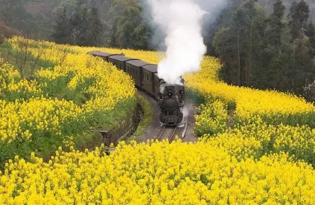绵阳攻略_绵阳药王谷好玩吗_绵阳药王谷旅游攻略