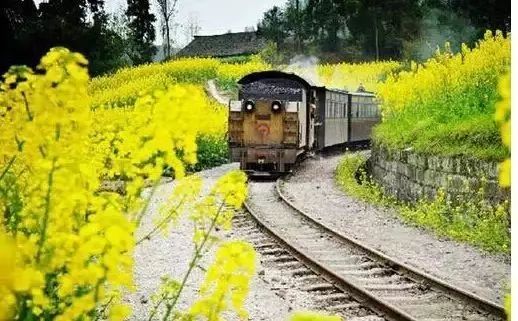 绵阳药王谷旅游攻略_绵阳药王谷好玩吗_绵阳攻略