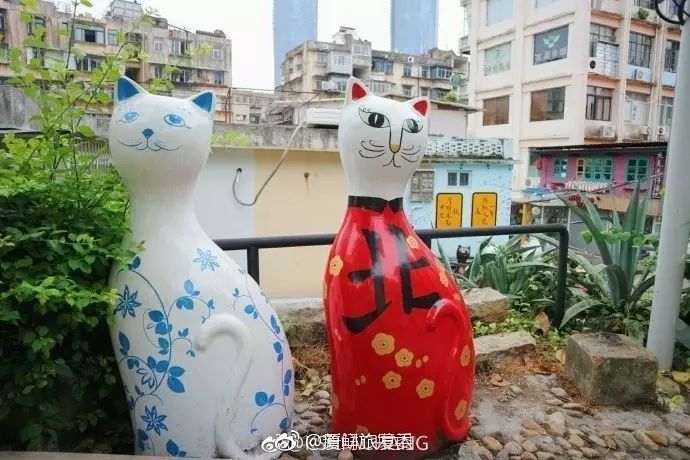 冬季鼓浪屿_鼓浪屿旅游攻略冬天_鼓浪屿冬季旅游攻略