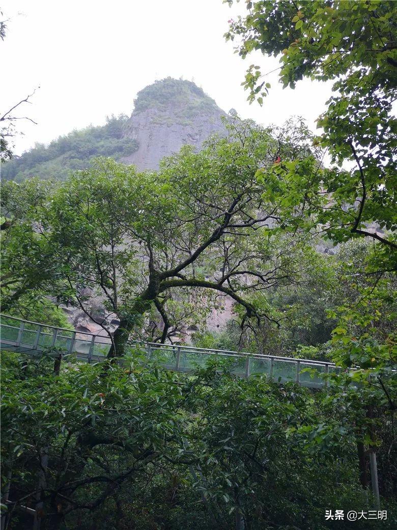 6层洋房槽钢层一般在几楼_大金湖旅游攻略_华为手表怎么找电话本