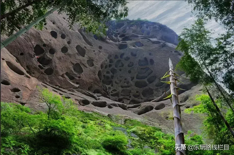 2014杭州百强企业_九几年幼儿园收费_大金湖旅游攻略