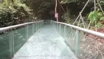 大金湖旅游攻略_九几年幼儿园收费_2014杭州百强企业