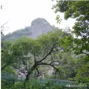 九几年幼儿园收费_大金湖旅游攻略_2014杭州百强企业