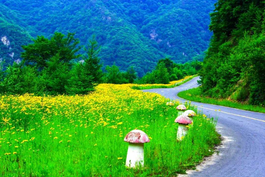 兰州到沙湖开车几个小时_兰州去沙漠最近怎么走_兰州到沙湖旅游攻略