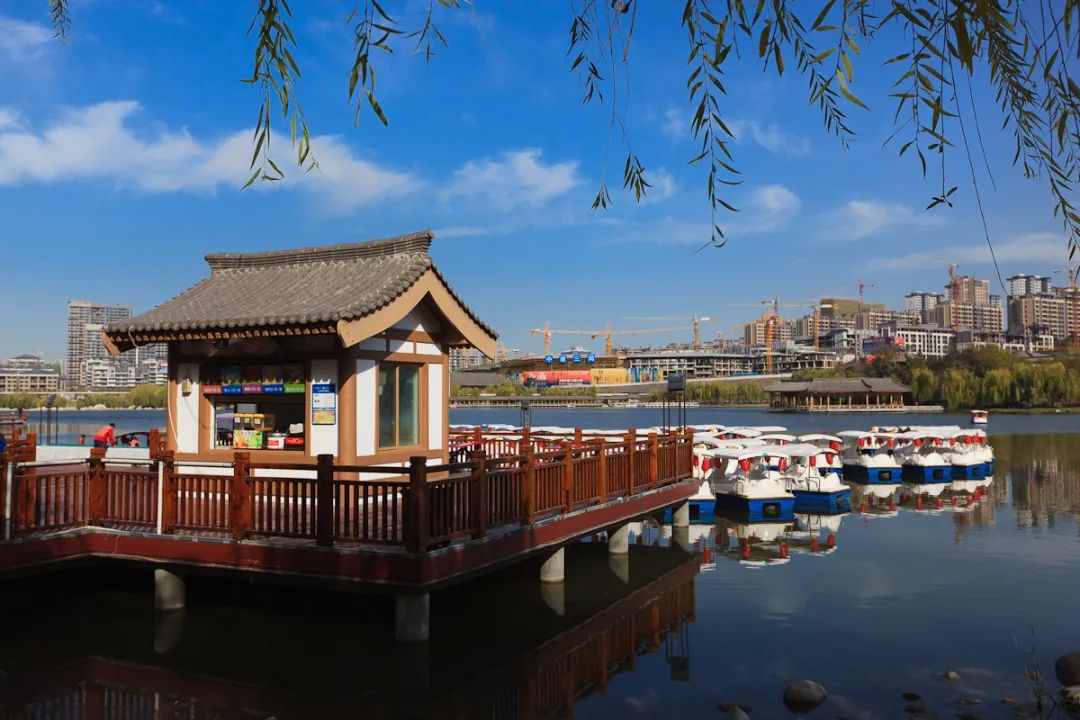 兰州到沙湖开车几个小时_兰州到沙湖旅游攻略_兰州到沙湖怎么坐车