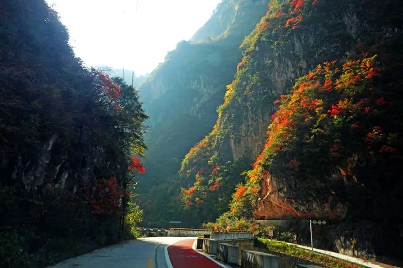 甘肃天水康县旅游攻略_甘肃天水景点_甘肃天水旅游攻略游记