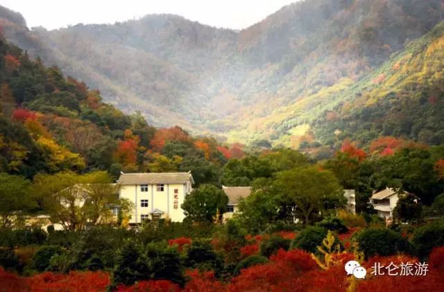 北仑九峰山旅游攻略_攻略旅游北仑峰山路线_北仑白峰哪里好玩