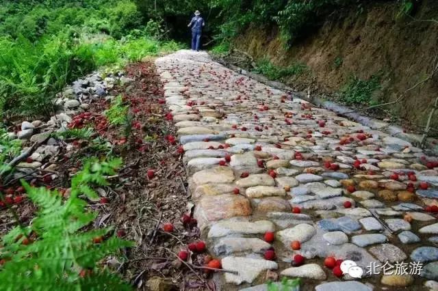 北仑九峰山旅游攻略_北仑白峰哪里好玩_攻略旅游北仑峰山路线